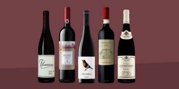 Dry White Wine For Cooking – How to Find the Best Types