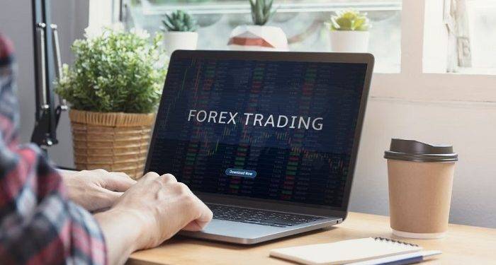 Know About The Traders Domain For Trading